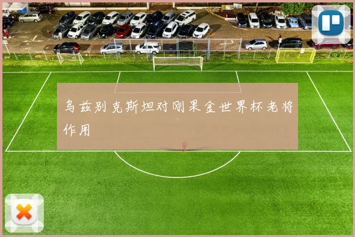 乌兹别克斯坦对刚果金世界杯老将作用