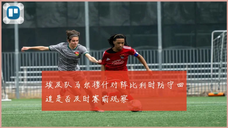 埃及队马尔穆什对阵比利时防守回追是否及时赛前观察