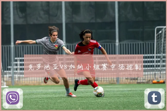 克罗地亚vs加纳小组赛中场控制