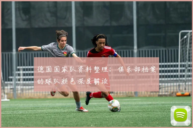 德国国家队资料整理:俱乐部档案的球队颜色深度解读