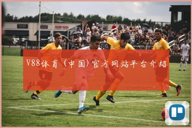 V88体育 (中国)官方网站平台介绍