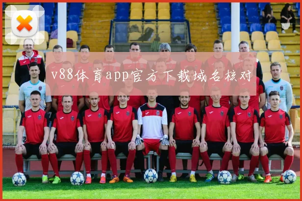 v88体育app官方下载域名核对